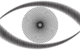 Privacy Display