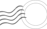 Garanzia Pixel 9